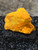 bright orange Curite professionally mounted under outdoor light
