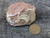 Uranopilite  and  Uraninite  on  rust colored feldspar matrix under outdoor light size comparison to copper penny bottom view