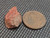 reddish-brown monazite-(Ce) under indoor light size comparison to copper penny bottom view