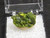 green Autunite crystal in perky box under indoor light