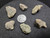 Trinitite lot 13.8 Grams, 6 Pieces – (Atomic Bomb Glass), Trinity Site, New Mexico, July 16, 1945