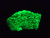 5 Gram Fluorescent green autunite crystal formation under  365nm UV light
