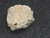 this 1.3 Gram Trinitite sample  under indoor light