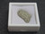 showing how this specimen is stored in a  white square labeled display case top view