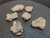 vitreous 13.4 gram trinitite lot o 6 pieces on display under indoor light