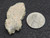 This 4.8 gram vitreous looking trinitite specimen size comparison to steel penny bottom view