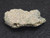 This 4.8 gram vitreous looking trinitite specimen size comparison to steel penny top view
