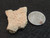 This vitreous looking trinitite specimen size comparison to steel penny bottom view