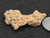 This vitreous looking trinitite specimen size comparison to steel penny bottom view