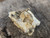 dirty looking but sharply defined Gadolinite(y) crystal twin situated in white matrix under outdoor light