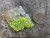 yellow/green autunite on black quartz matrix under indoor light size comparison to copper penny top view