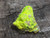 Bright yellow/green autunite crystals on black quartz matrix rotated 90 degrees demonstrating daytime fluorescence under outdoor light