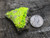 bright yellow/green autunite on black quartz matrix under outdoor light size comparison to copper penny top view
