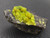 drab looking green and yellow autunite on black quartz matrix under indoor light