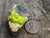 Bright yellow/green autunite crystals on black quartz matrix demonstrating daytime fluorescence under outdoor light