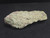 bright drab tan Schröckingerite & Andersonite on sandstone matrix indoor light
