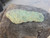 drab yellow-tan Schröckingerite & Andersonite on sandstone matrix under outdoor light