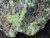 Close in photo showing Bright yellow Andersonite globules  & sparse dark green Schröckingerite  spatters on grainy Sandstone matrix under outdoor light