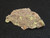 drab yellow Andersonite & Schröckingerite on grainy Sandstone under  indoor light
