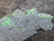 close in view showing Bright yellow Andersonite globules & rare Schröckingerite spatters, and white Metamunirite on sandstone matrix under outdoor light