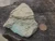 Share Low Activity Check Source for Geiger Counter - Alpha Beta Gamma Ore - Posey Mine