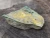 Share Low Activity Check Source for Geiger Counter - Alpha Beta Gamma Ore - Posey Mine