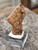 drab reddish brown Monazite -(Ce) Crystal twin on displayed under outdoor light rotated