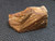 symmetrical well terminated reddish brown monazite-(ce) crystal entwined with shiny mica on displayed under indoor light opposite side