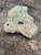 This vitreous looking greenish grey 3.1 gram trinitite specimen under outdoor light rotated