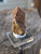Drab reddish brown columnar Monazite-(Ce) crystal on display under outdoor light rotated