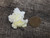 yellow boltwoodite on white gypsum matrix under outdoor light size comparison to copper penny top view