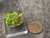 Green and yellowish green lamellar autunite crystal on display under outdoor light size comparison to copper penny top view