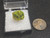 dark green autunite crystal formation under indoor light size comparison to copper penny top view