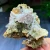 water clear hyalite opal with quartz crystal formation under outdoor light