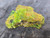 Bright green and reddish yellow green autunite under outdoor light