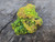 Bright green and reddish yellow green autunite under outdoor light rotated