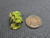 Drab Green Lamellar and gnarly autunite crystal formation displayed under indoor light size comparison to copper penny top view