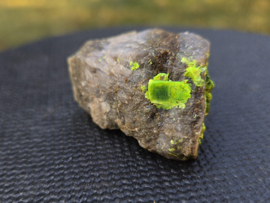 Autunite on Matrix Mini-Cabinet Specimen on display under outdoor light
