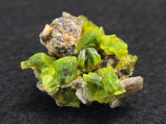 8 gram autunite crystal formation on display under indoor light