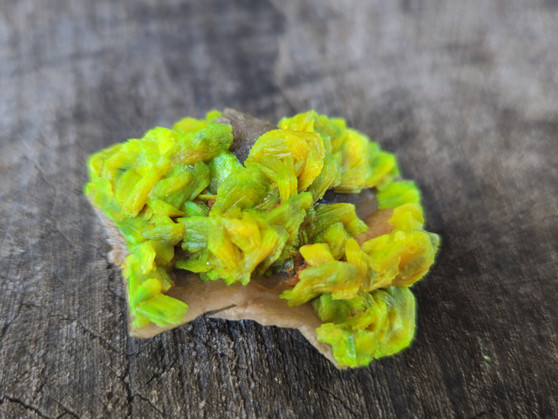 13.8 Gram Lamellar Autunite Crystal Formation under outdoor light