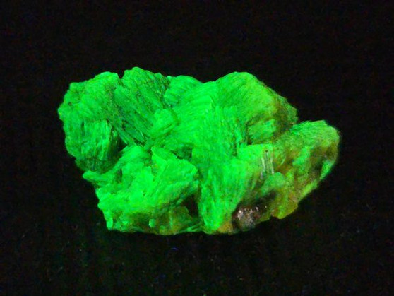 3.7 Gram Lamellar Autunite Crystal formation under 365nm UV light