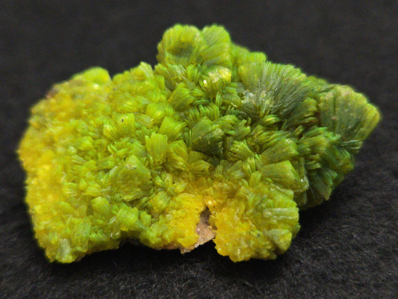 10.7 Gram Autunite Crystal Formation under indoor light
