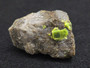 Autunite on Matrix Mini-Cabinet Specimen on display under indoor light