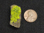 Autunite on Matrix Mini-Cabinet Specimen under indoor light size comparison to copper penny top view