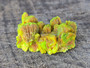 4 Gram Autunite Crystal on display under outdoor light