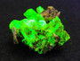8 gram autunite crystal formation on display under 365nm UV light