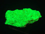 10.7 Gram autunite crystal on display under 365nm UV light