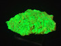 10.7 Gram autunite crystal on display under 365nm UV light
