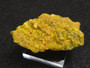 10.7 Gram autunite crystal on display under indoor light