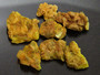 7 Piece Autunite Lot displayed on watch glass under outdoor light